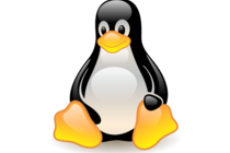 Закрытый бета-тест Steam для Linux